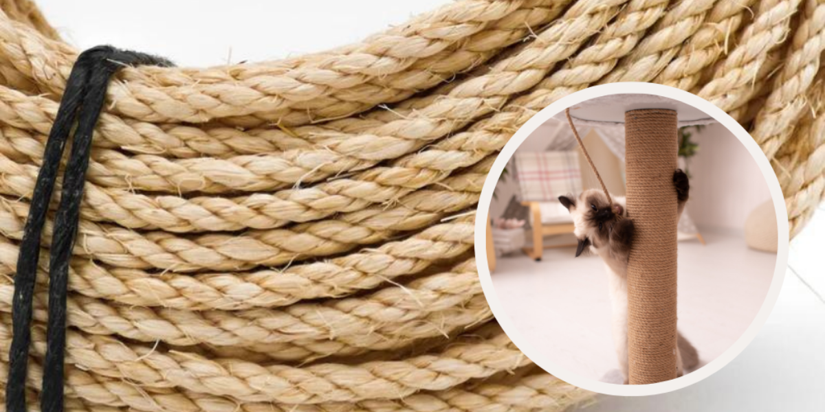 Hemp, sisal